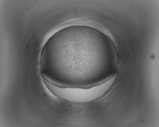 X0000092221528200709281033
