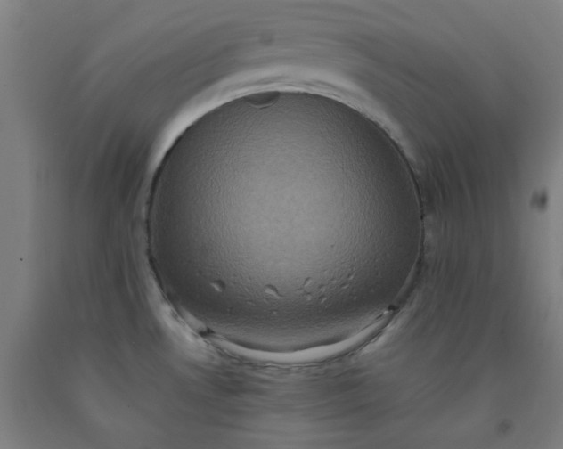 X0000092221530200709281033