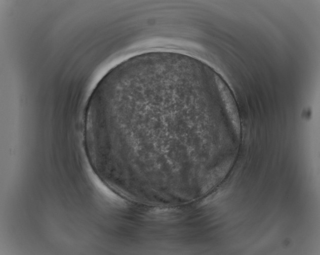 X0000092221531200709281033