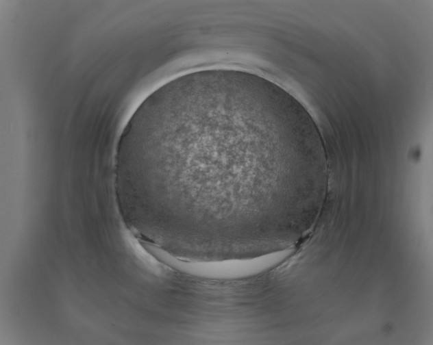 X0000092221532200709281033