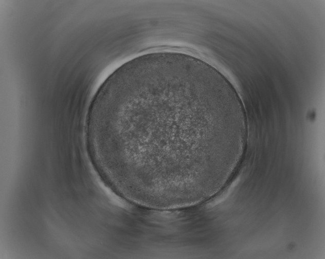 X0000092221533200709281033