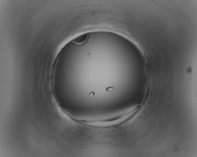 X0000092221534200709281033