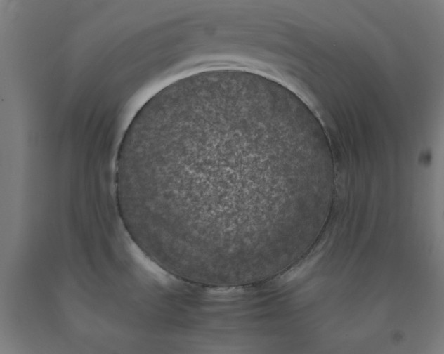 X0000092221535200709281033