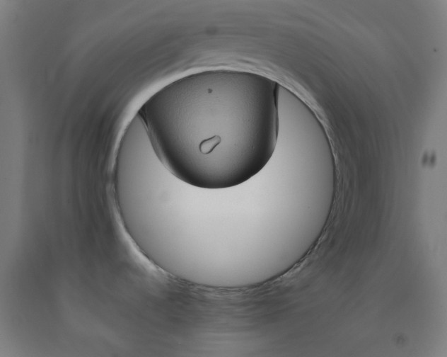 X0000092221536200709281033