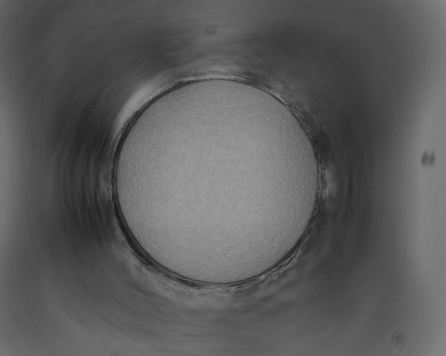 X0000092220004200710051208
