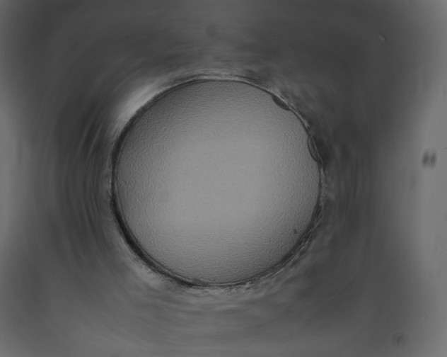 X0000092220005200710051208