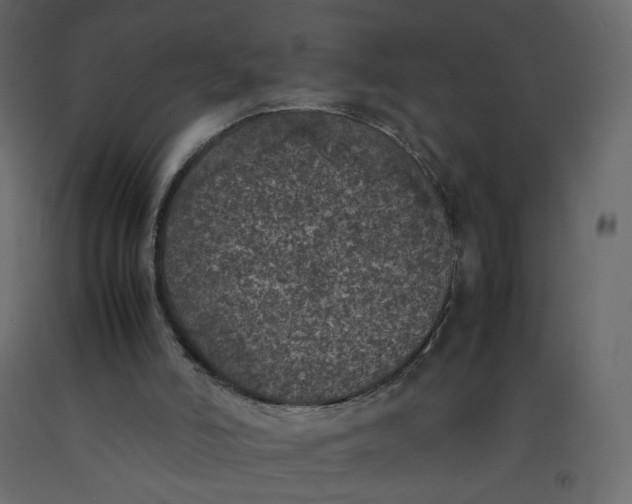 X0000092220006200710051208