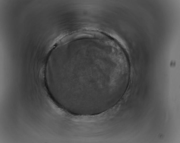 X0000092220009200710051208