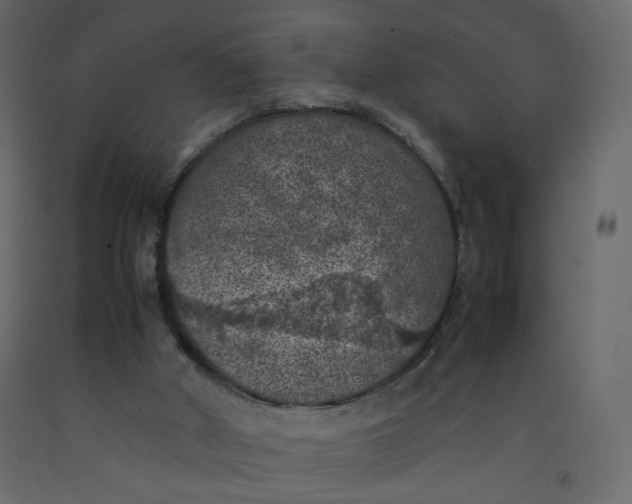 X0000092220010200710051208