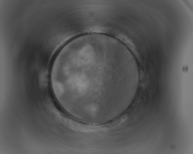 X0000092220012200710051208