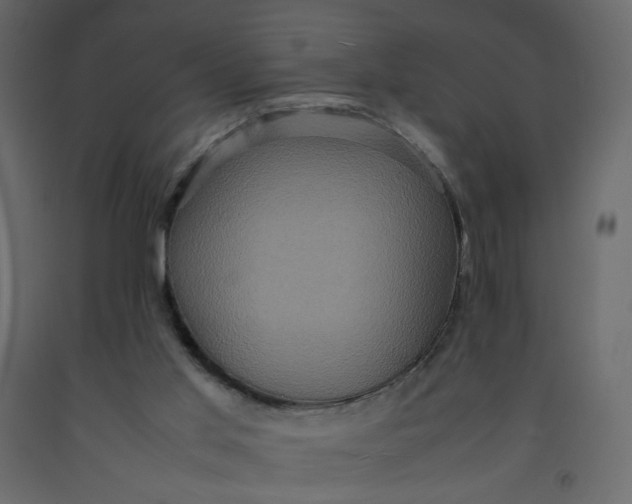 X0000092220013200710051207