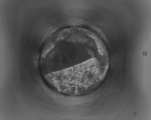 X0000092220018200710051207