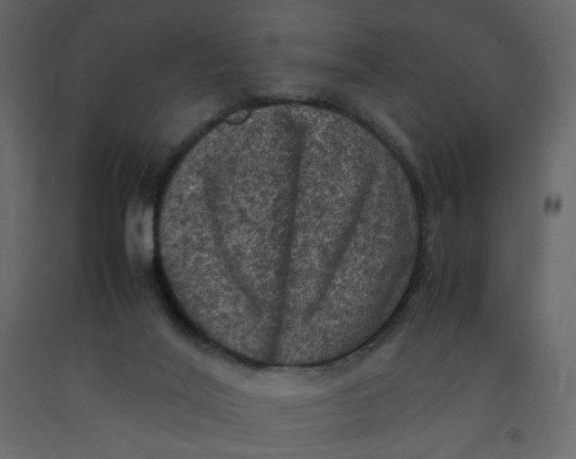 X0000092220020200710051207