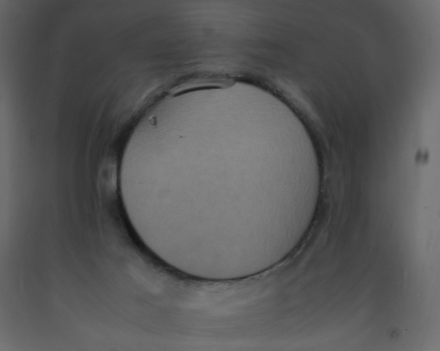 X0000092220021200710051207