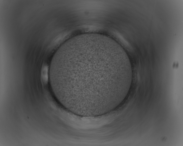 X0000092220022200710051207