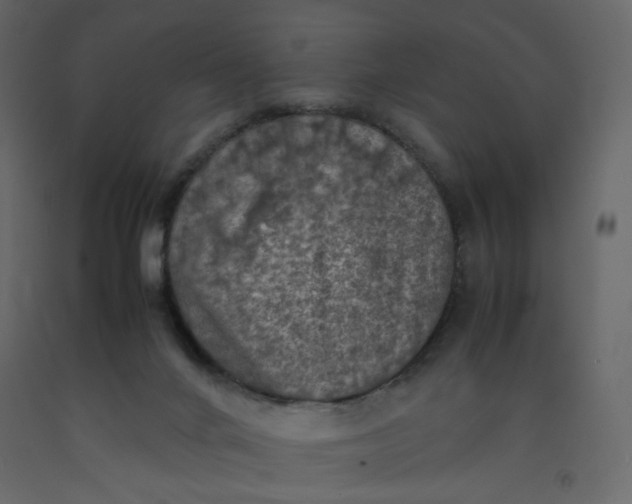 X0000092220024200710051207