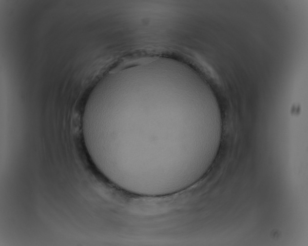 X0000092220025200710051207