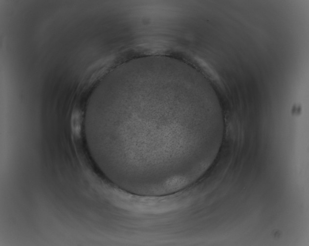 X0000092220026200710051207