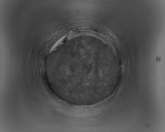 X0000092220029200710051207