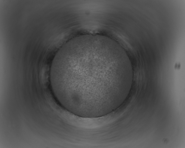 X0000092220030200710051207