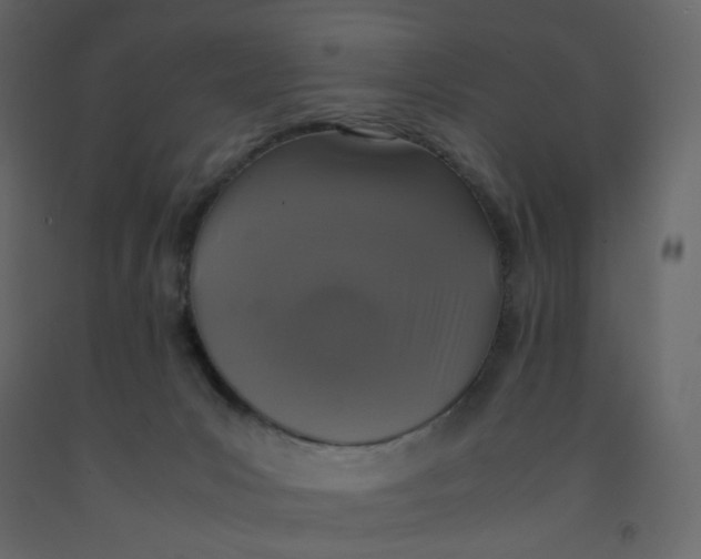 X0000092220031200710051207