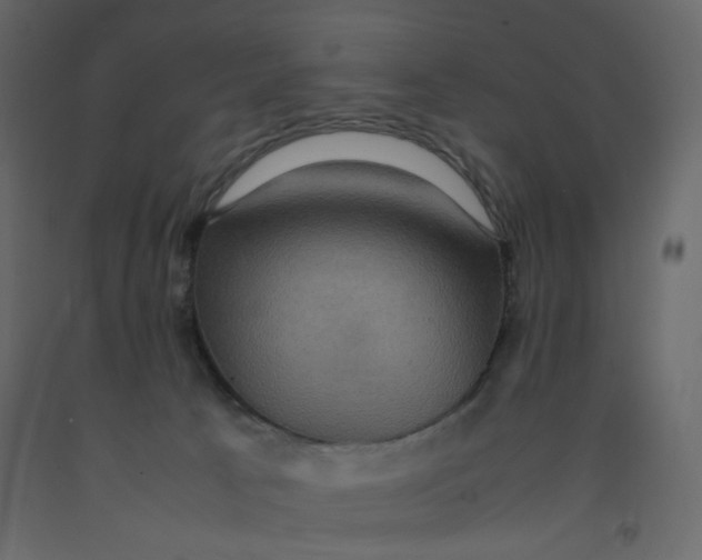 X0000092220033200710051207