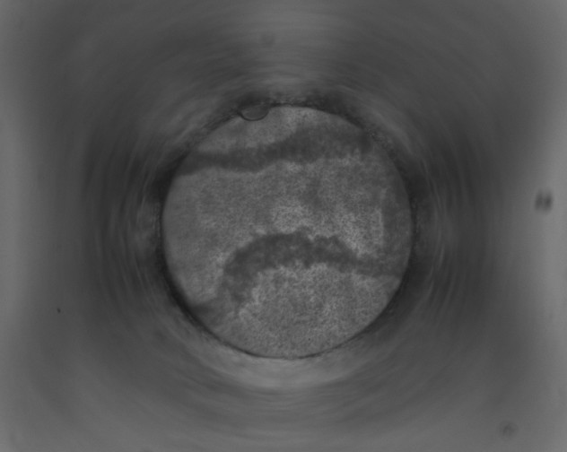 X0000092220034200710051207