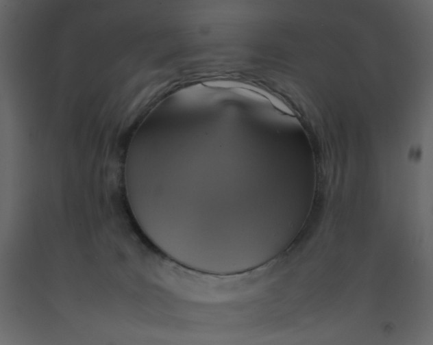 X0000092220035200710051207