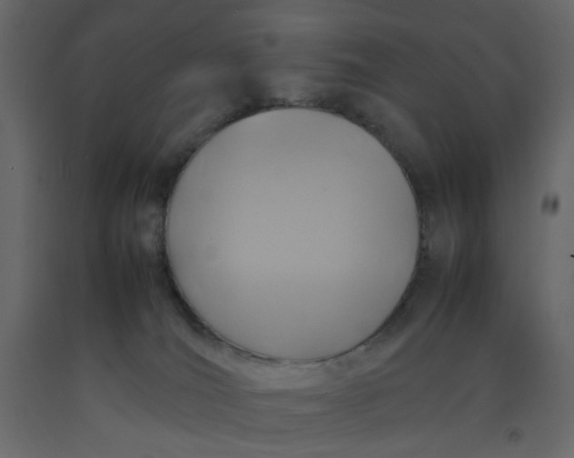 X0000092220036200710051207