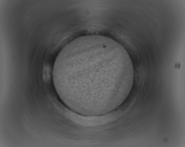 X0000092220038200710051207