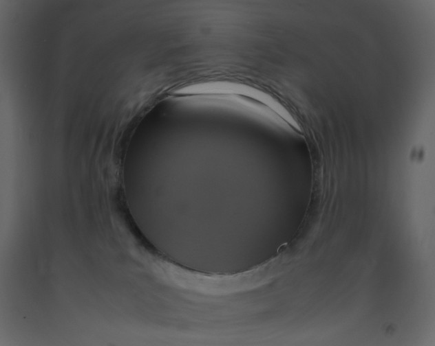 X0000092220039200710051207