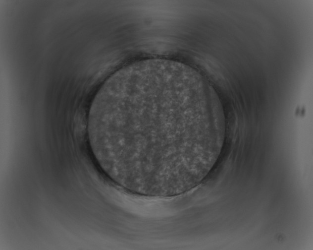 X0000092220040200710051207