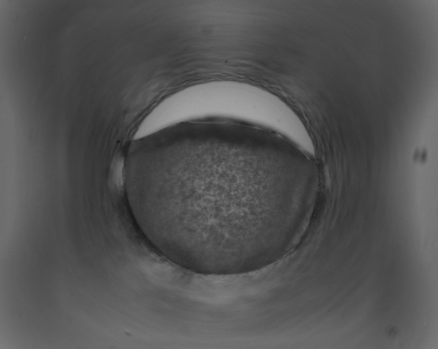 X0000092220041200710051207