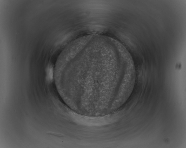 X0000092220042200710051207