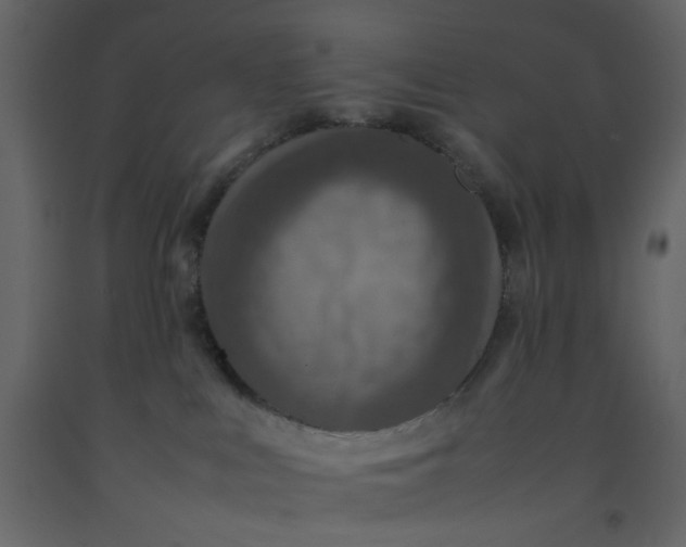X0000092220043200710051207