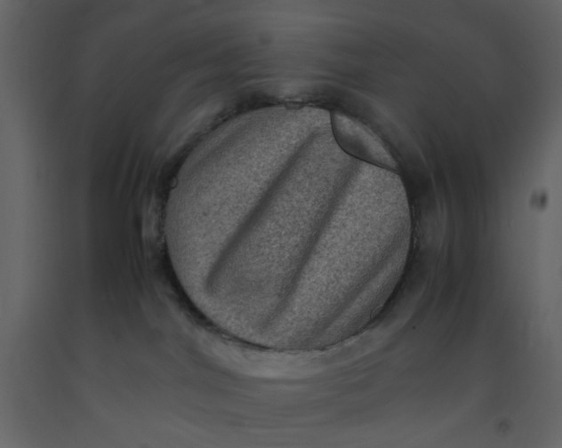 X0000092220044200710051207