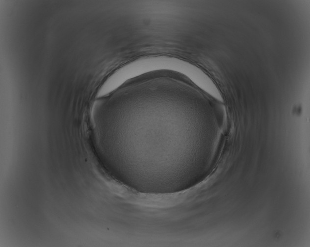 X0000092220045200710051207