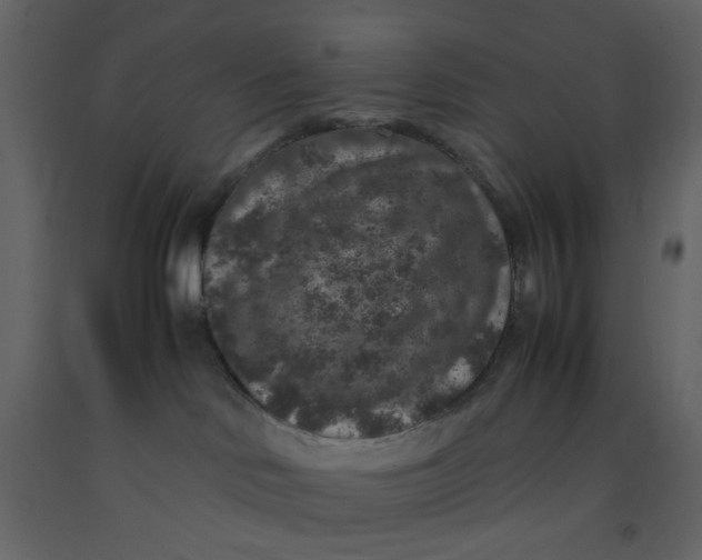 X0000092220046200710051207