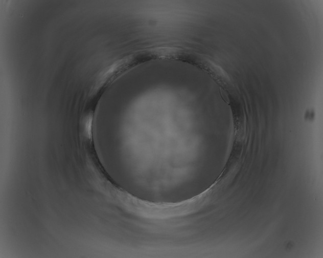 X0000092220047200710051207