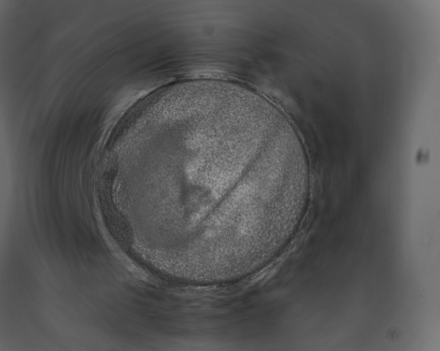 X0000092220049200710051206