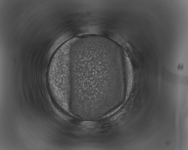X0000092220051200710051206