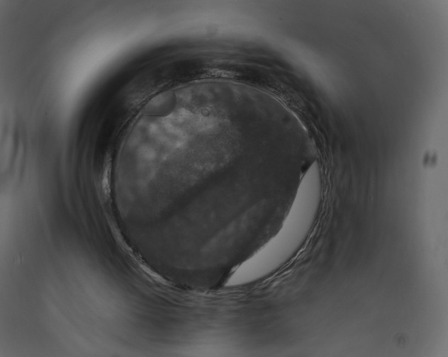 X0000092220052200710051206