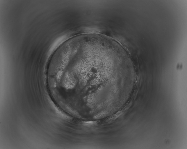 X0000092220053200710051207