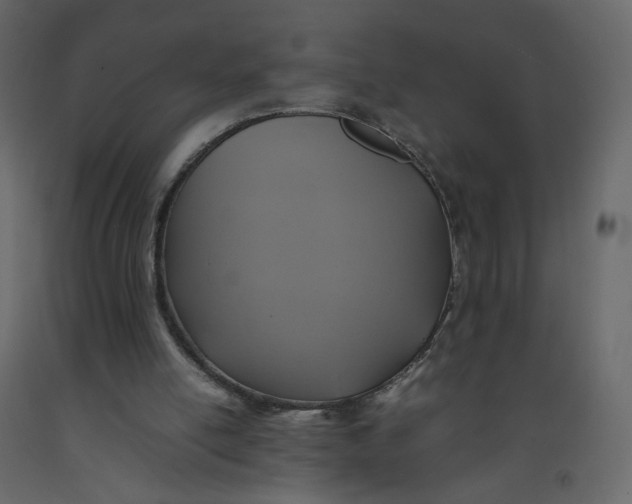X0000092220054200710051207