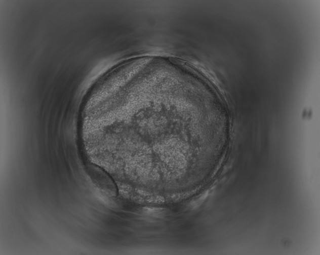 X0000092220055200710051207