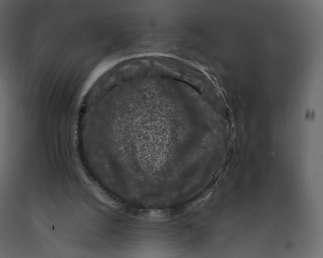 X0000092220056200710051207