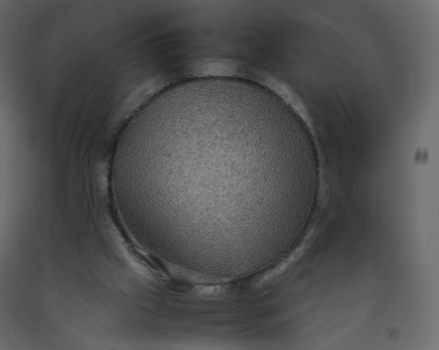 X0000092220057200710051207