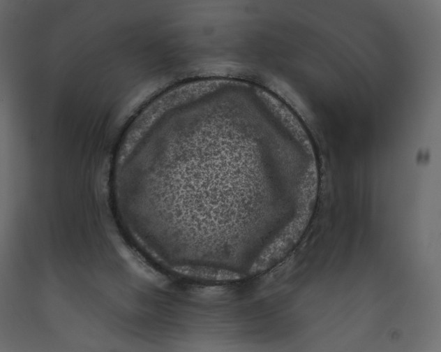 X0000092220058200710051207