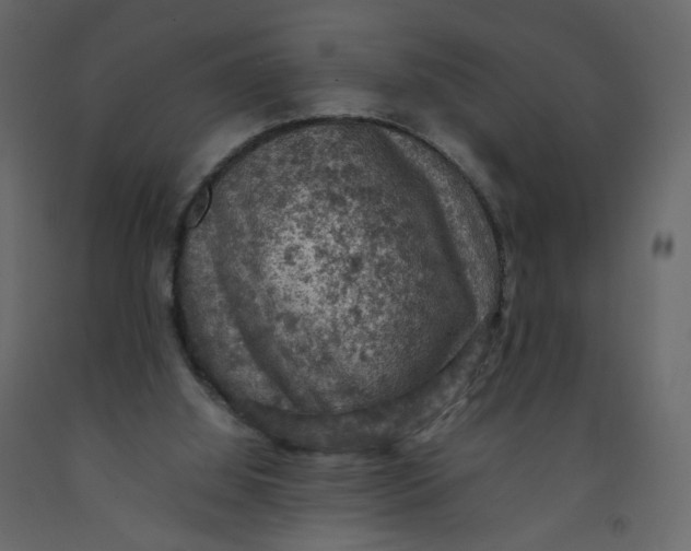 X0000092220060200710051207