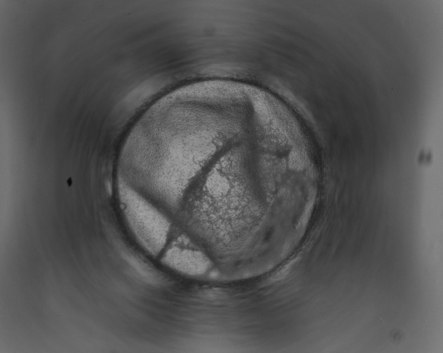 X0000092220062200710051207